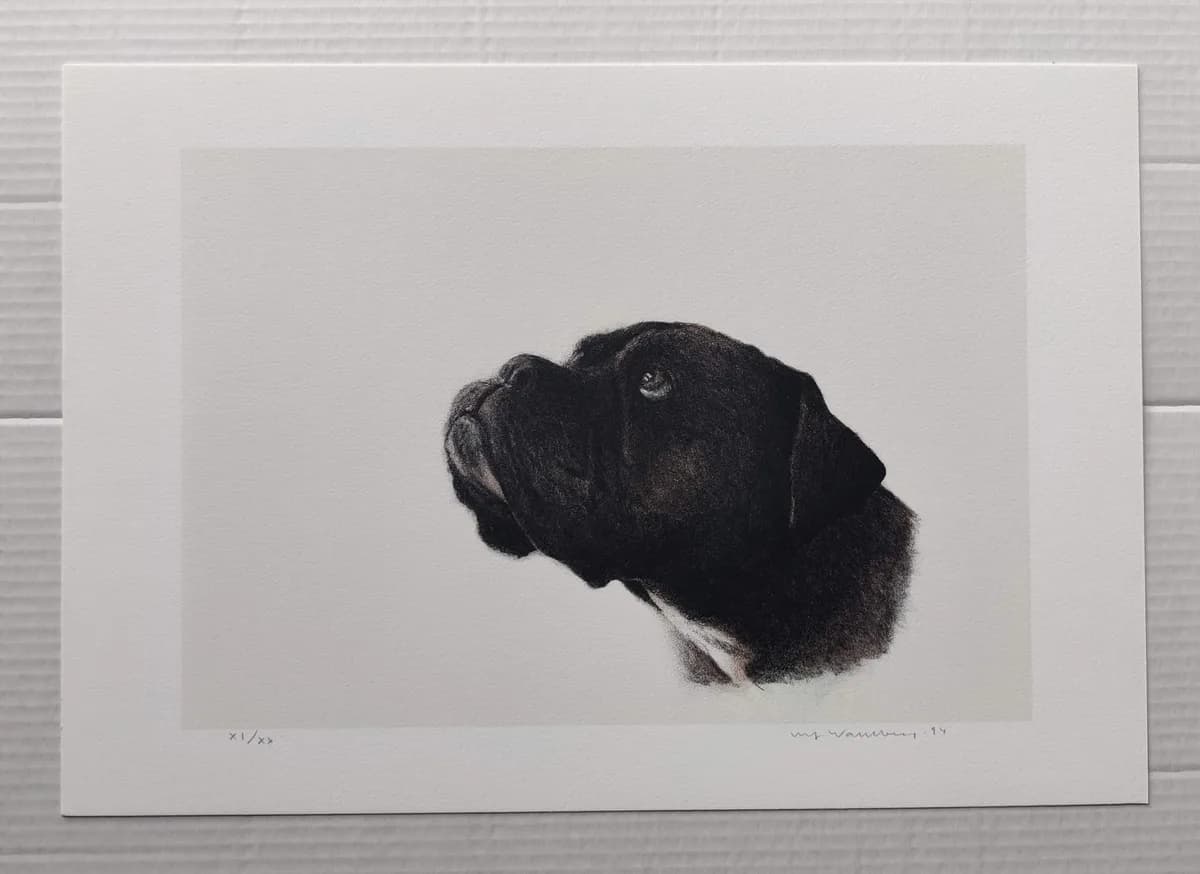 Ulf and Monica's dog Mischka.